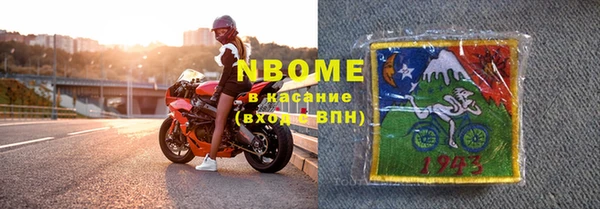хмурый Алзамай