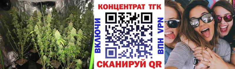 ТГК концентрат  Аткарск 