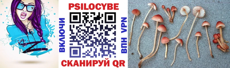 Псилоцибиновые грибы Psilocybe  Аткарск 